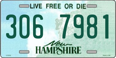 NH license plate 3067981