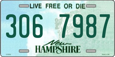 NH license plate 3067987