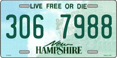 NH license plate 3067988