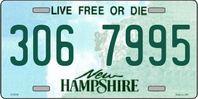 NH license plate 3067995