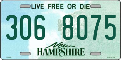 NH license plate 3068075