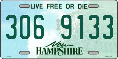 NH license plate 3069133