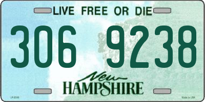 NH license plate 3069238