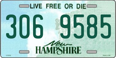 NH license plate 3069585
