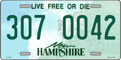 NH license plate 3070042