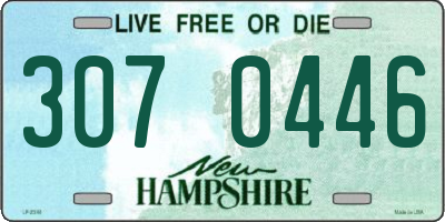 NH license plate 3070446