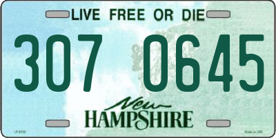 NH license plate 3070645