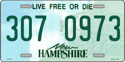 NH license plate 3070973