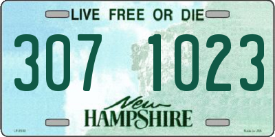 NH license plate 3071023