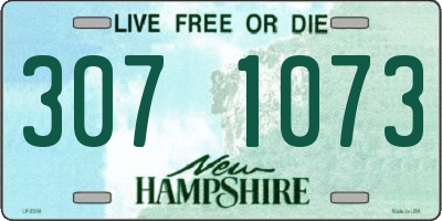 NH license plate 3071073