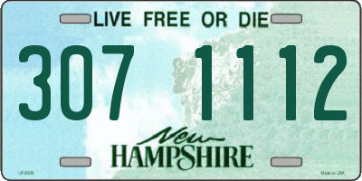 NH license plate 3071112