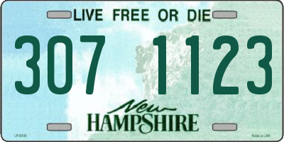 NH license plate 3071123
