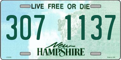NH license plate 3071137