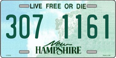 NH license plate 3071161