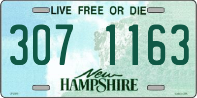 NH license plate 3071163