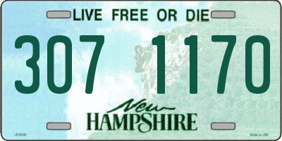 NH license plate 3071170