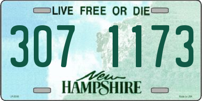 NH license plate 3071173