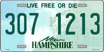NH license plate 3071213