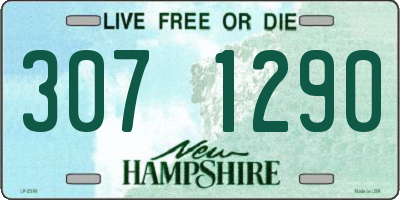 NH license plate 3071290