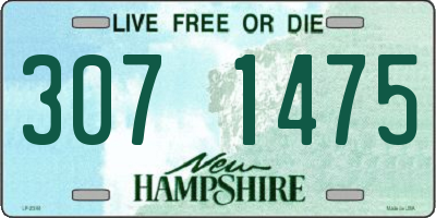 NH license plate 3071475