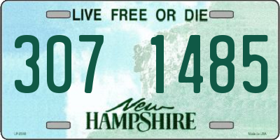 NH license plate 3071485