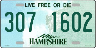 NH license plate 3071602
