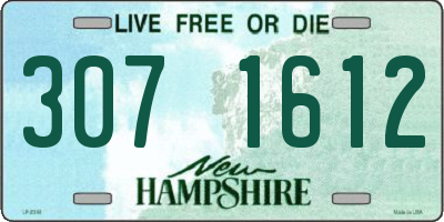 NH license plate 3071612