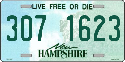 NH license plate 3071623