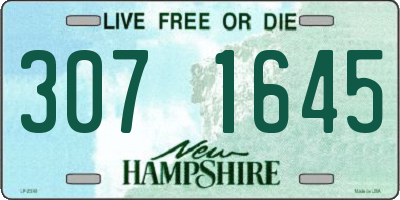 NH license plate 3071645