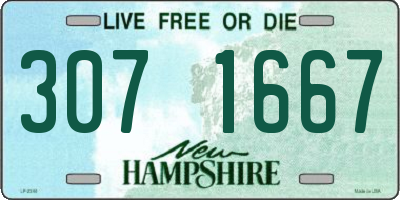 NH license plate 3071667