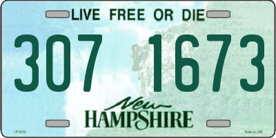 NH license plate 3071673