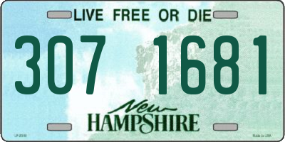 NH license plate 3071681