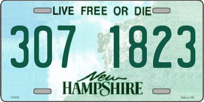 NH license plate 3071823