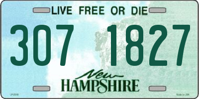 NH license plate 3071827