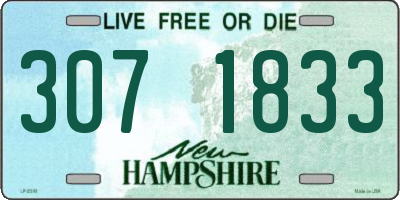 NH license plate 3071833