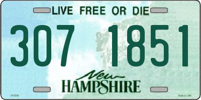 NH license plate 3071851