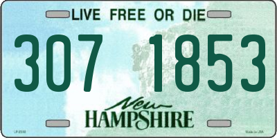 NH license plate 3071853