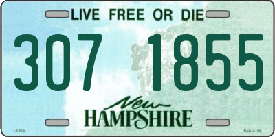 NH license plate 3071855