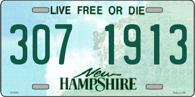 NH license plate 3071913