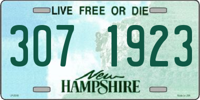 NH license plate 3071923