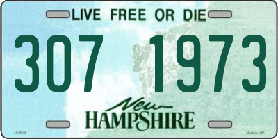 NH license plate 3071973