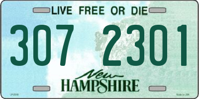 NH license plate 3072301