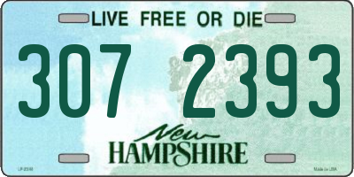 NH license plate 3072393