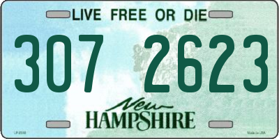 NH license plate 3072623