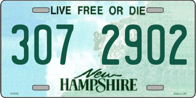 NH license plate 3072902