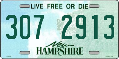 NH license plate 3072913
