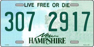 NH license plate 3072917