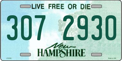 NH license plate 3072930