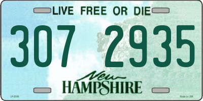 NH license plate 3072935