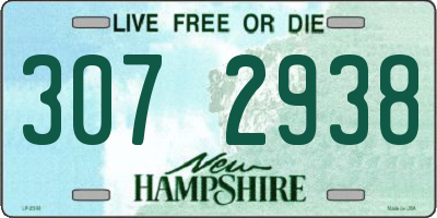 NH license plate 3072938
